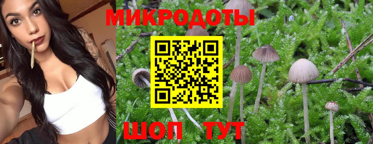 Галлюциногенные грибы ЛСД  Вход с VPN  Острогожск 