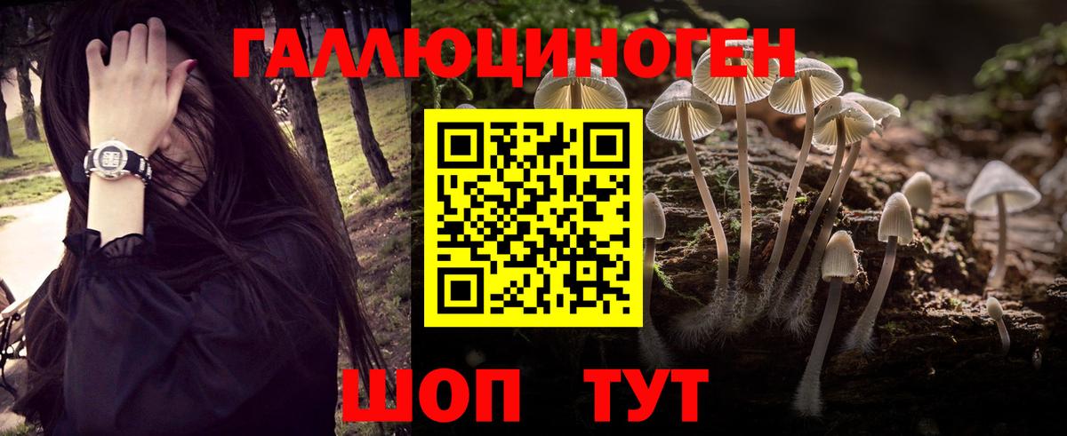 Галлюциногенные грибы Psilocybine cubensis Острогожск